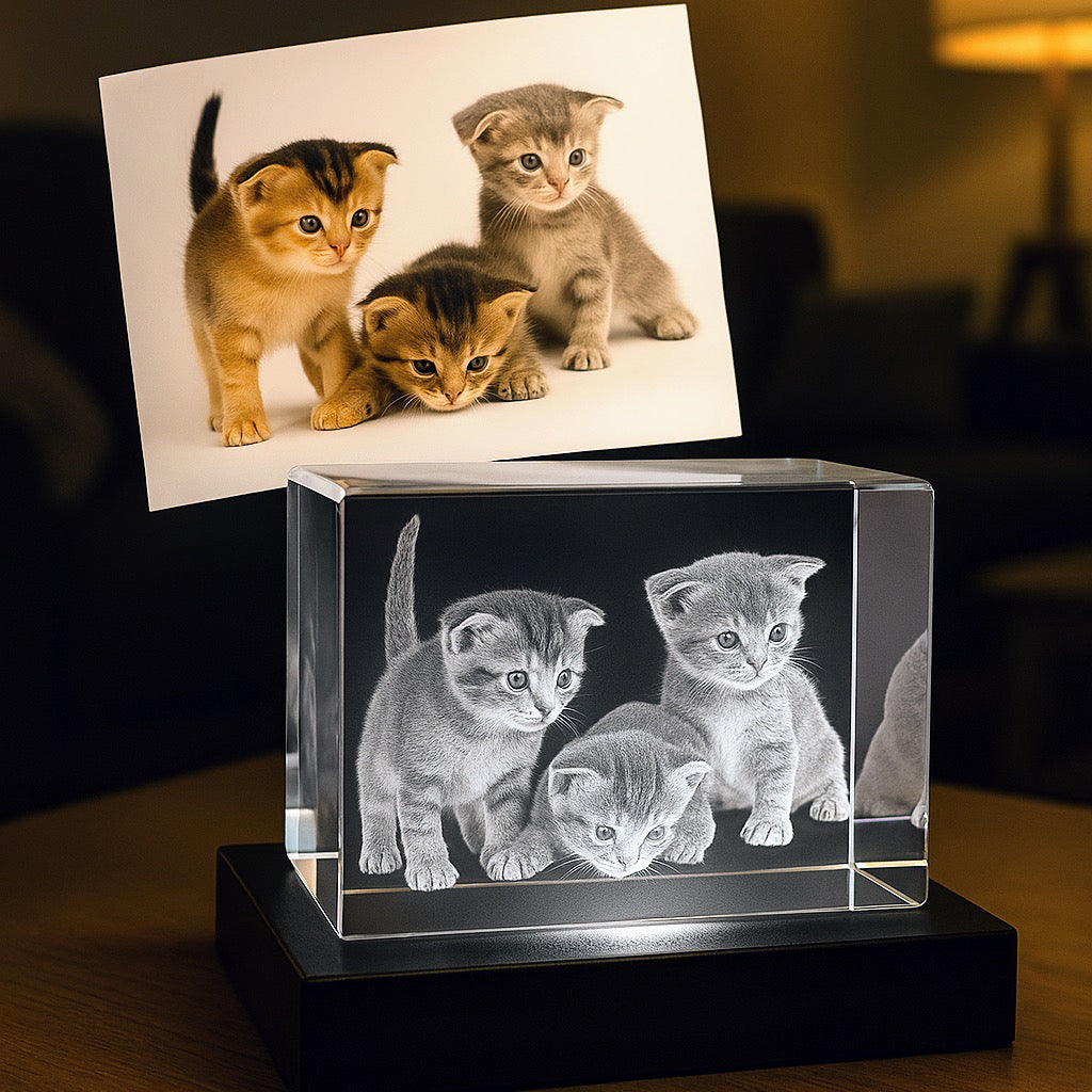 Bloc en verre gravé en 3D représentant quatre chatons curieux, mis en valeur par un socle lumineux noir, fidèle à la photo posée en arrière-plan.