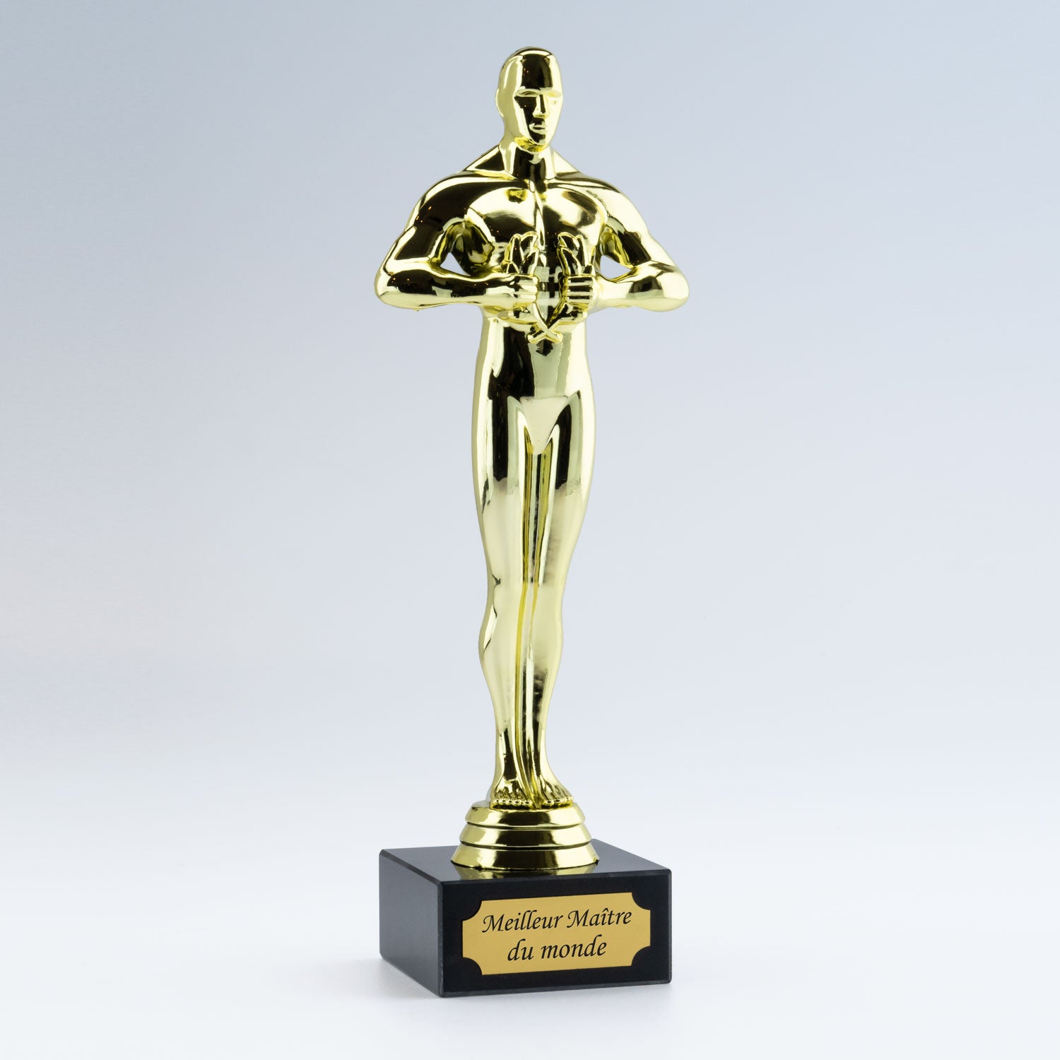 Trophée doré façon statuette de cinéma, gravé "Meilleur Maître du monde" sur une plaque dorée fixée au socle noir.