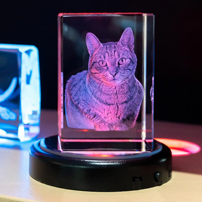 Un chat est gravé dans un bloc vertical, illuminé par un socle LED. Ce bloc photo en verre est idéal pour les amoureux des animaux.