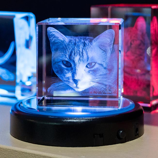 Un chat est gravé en 3D dans un cube de verre posé sur un socle lumineux. Ce bloc personnalisé est parfait comme hommage animalier ou décoration originale.
