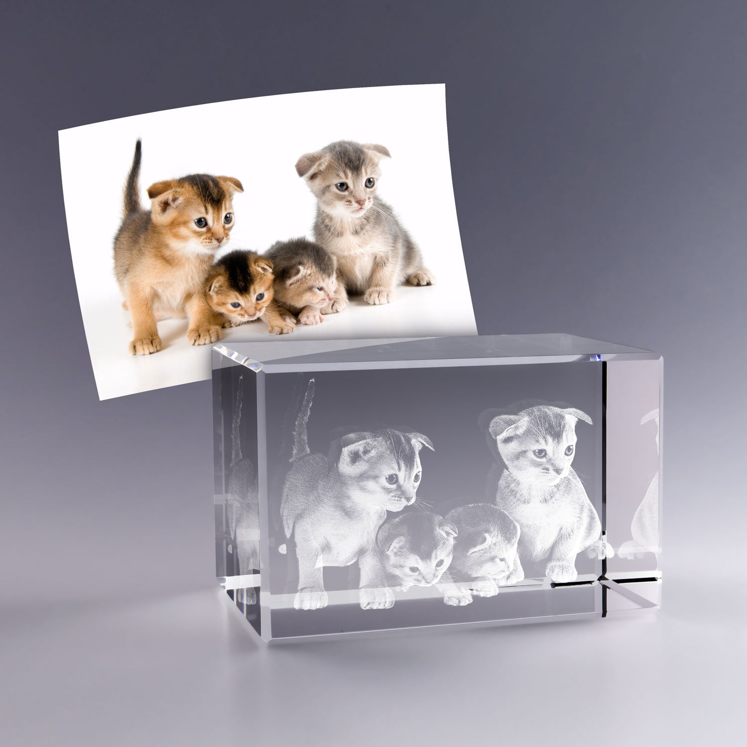 Bloc en verre rectangulaire gravé en 3D avec quatre chatons d’après une photo couleur, capturant une scène attendrissante et réaliste.