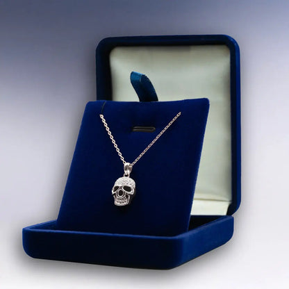Collier Tête de Mort argenté dans son écrin en velours bleu, style audacieux et raffiné.