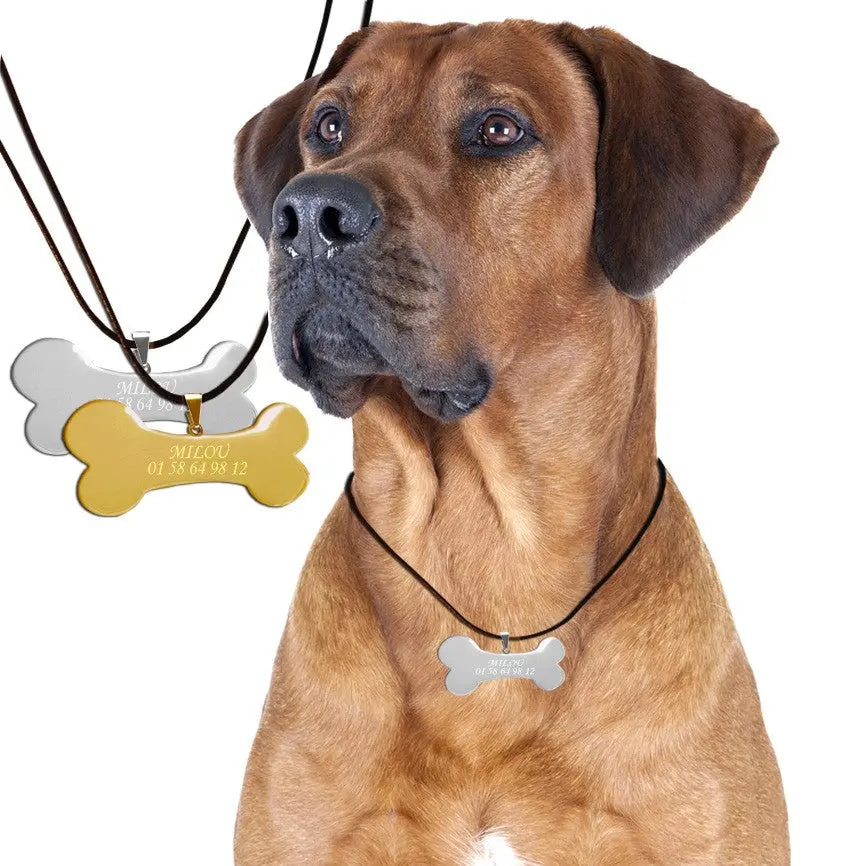 Pendentif Os Personnalisable pour Chien – Gravez le nom et le numéro de votre compagnon sur cette médaille dorée ou argentée. Pratique, élégante et essentielle pour l’identifier facilement.